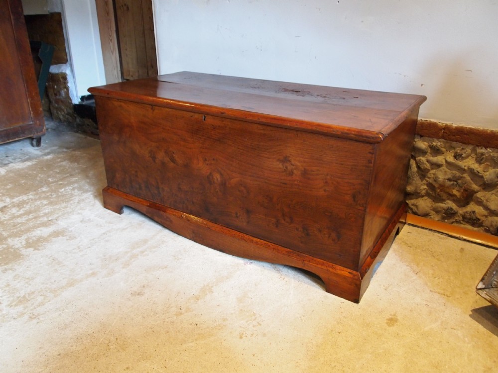 Rare George III Burr Elm trunk chest box c1800 View IX