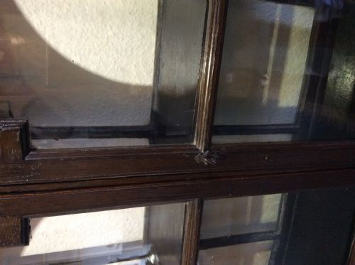 fig 1. Double Dome Top Oak Display Cabinet