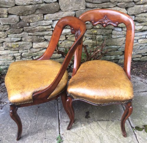 Pair of Mid 19th Century Walnut and Leather Chairs