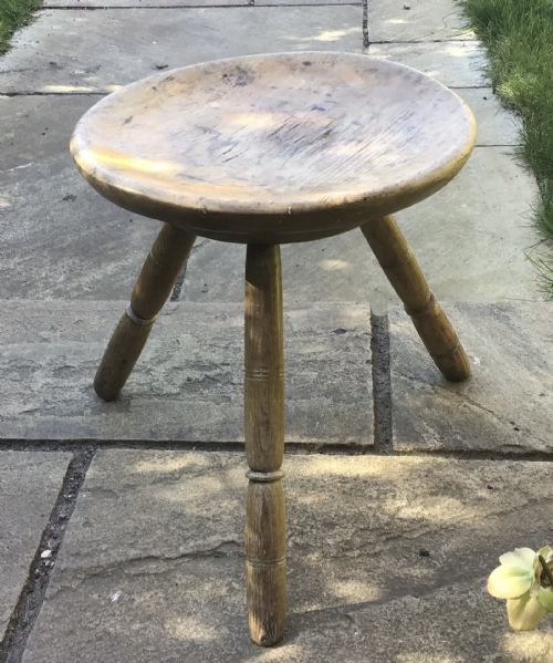 Welsh Sycamore Milking Stool