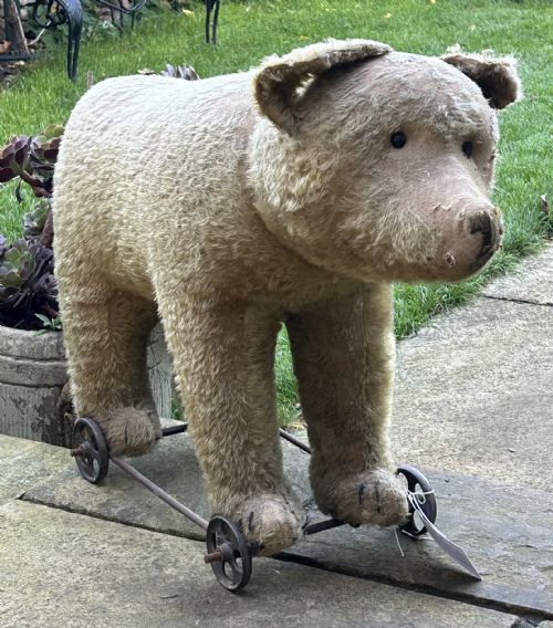 toy bear on wheels - CATEGORY: ANTIQUE MISCELLANEOUS - DATED 1910