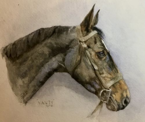 1930S WATERCOLOUR STUDY OF A HORSE - ADDITIONAL PHOTO 1