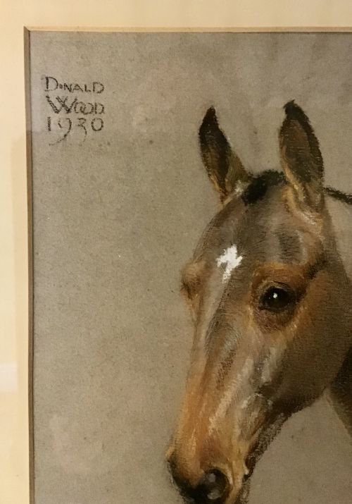 1930 PASTEL STUDY OF A HORSES HEAD - ADDITIONAL PHOTO 2