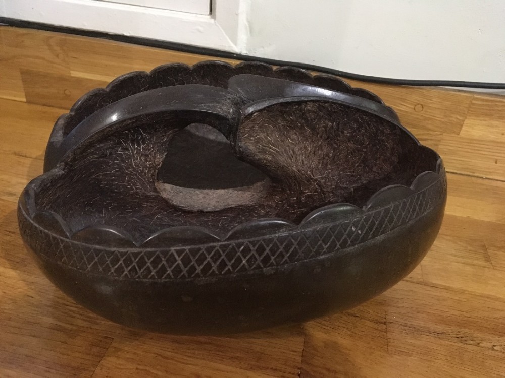 Coco de mer 