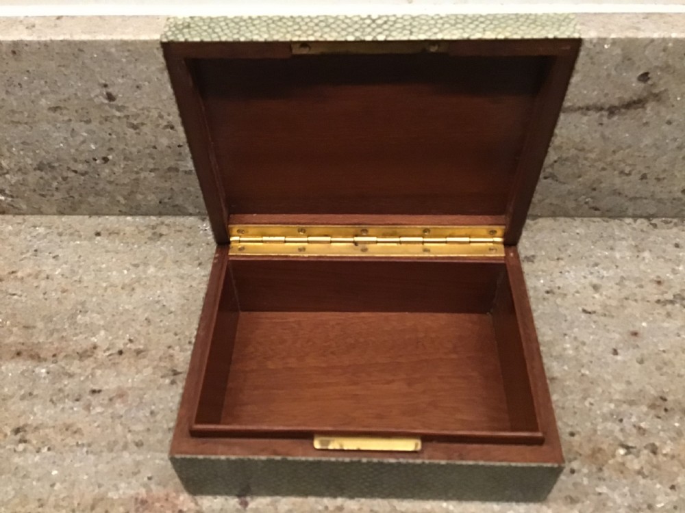 Shagreen Box  View II