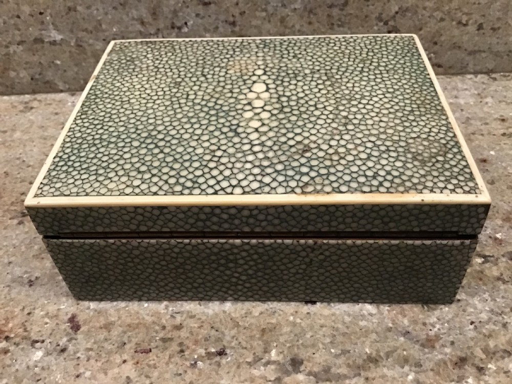 Shagreen Box  View III