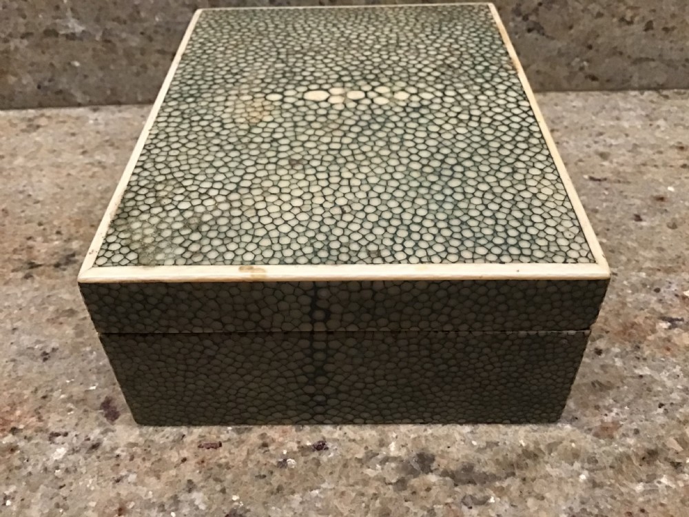 Shagreen Box  View IV