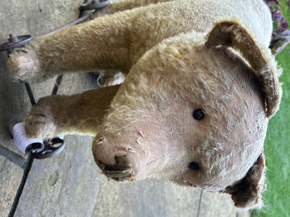 Toy Bear on wheels  View II