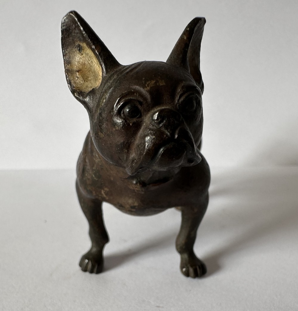 Antique Austrian Cold Painted Bronze French Bulldog  View II