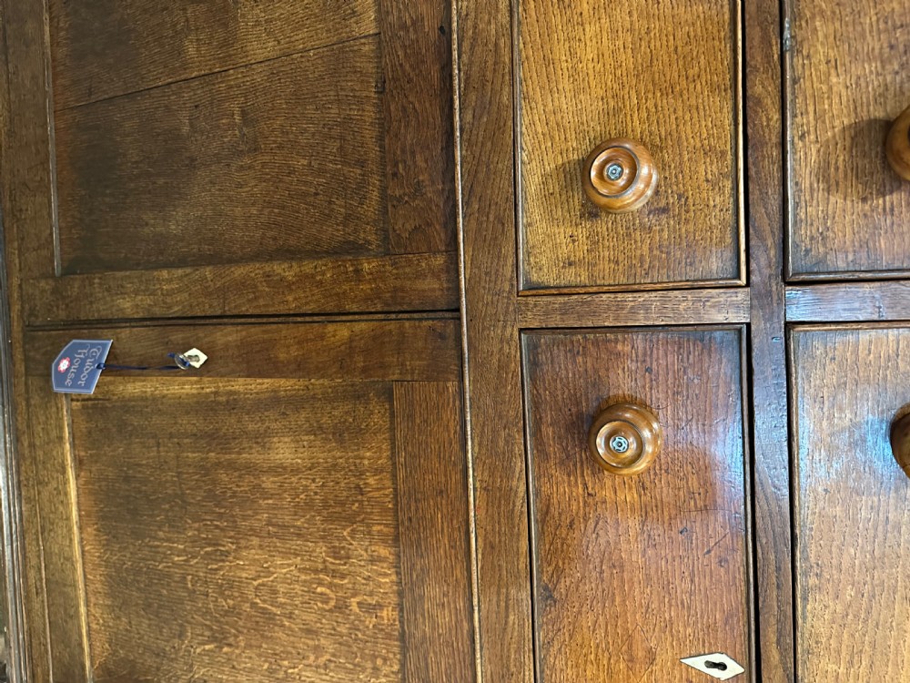 Georgian Welsh Oak Food Cupboard  View IX