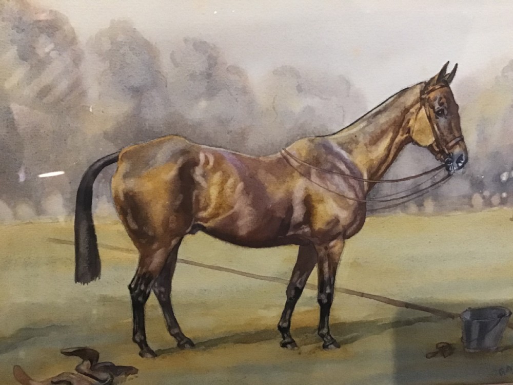 Watercolour of a Polo Pony dated 1946 by Gilbert Cattley View II