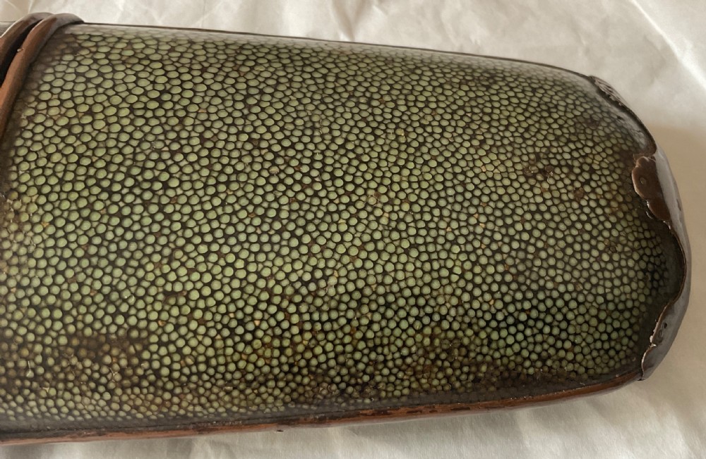 Georgian Shagreen Spectacles Case  View V