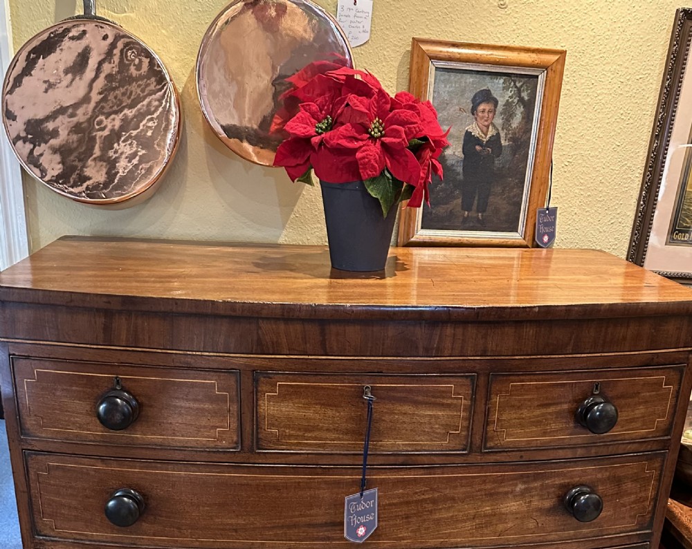 Late Regency Mahogany Christ of Drawers  View IV