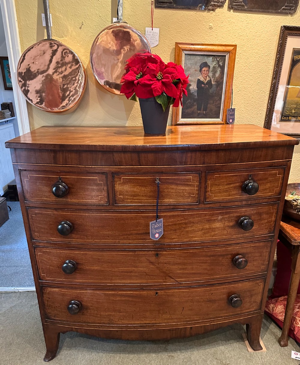 Late Regency Mahogany Christ of Drawers  View VIII