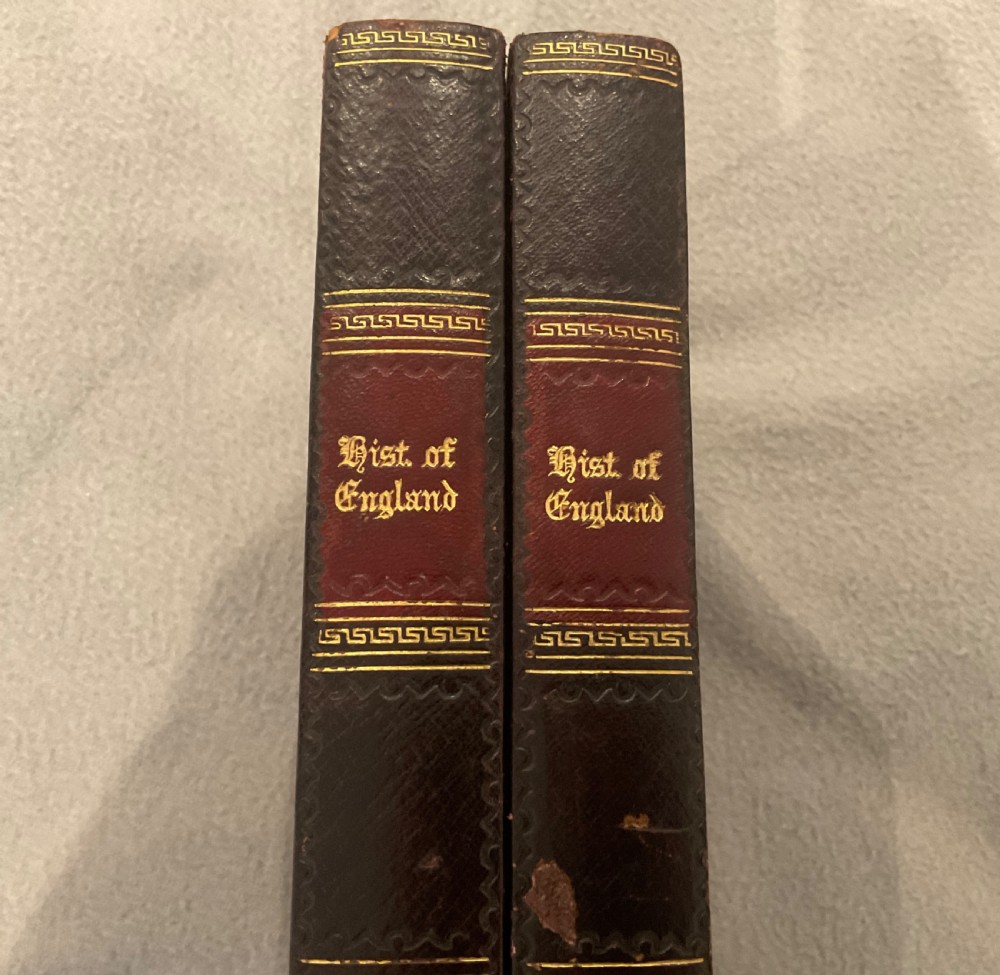 An open dark brown leather games board disguised as a book, displaying red and green backgammon points with black and cream counters. View III