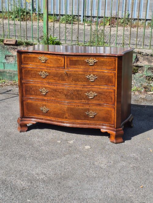 LARGE BURR WALNUT SERPENTINE CHEST OF DRAWERS