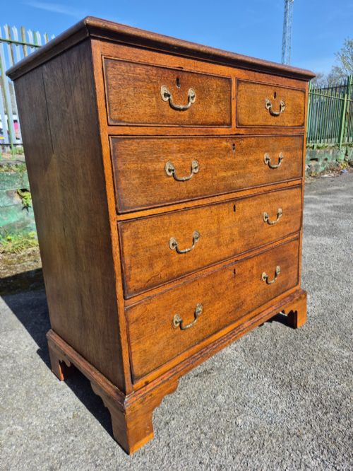 GEORGIAN GOLDEN OAK CHEST OF DRAWERS - ADDITIONAL PHOTO 6