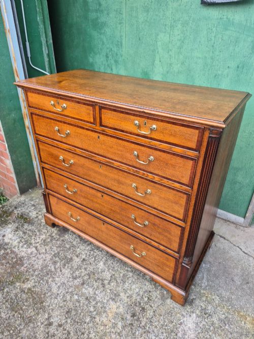 fig 3. A golden oak Georgian chest of drawers featuring two short drawers over three long drawers with brass handles, reeded side columns, and bracket feet.