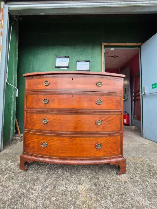 fig 1. A Regency period satinwood bowfront chest of drawers featuring four graduated drawers with oval brass handles and bracket feet.