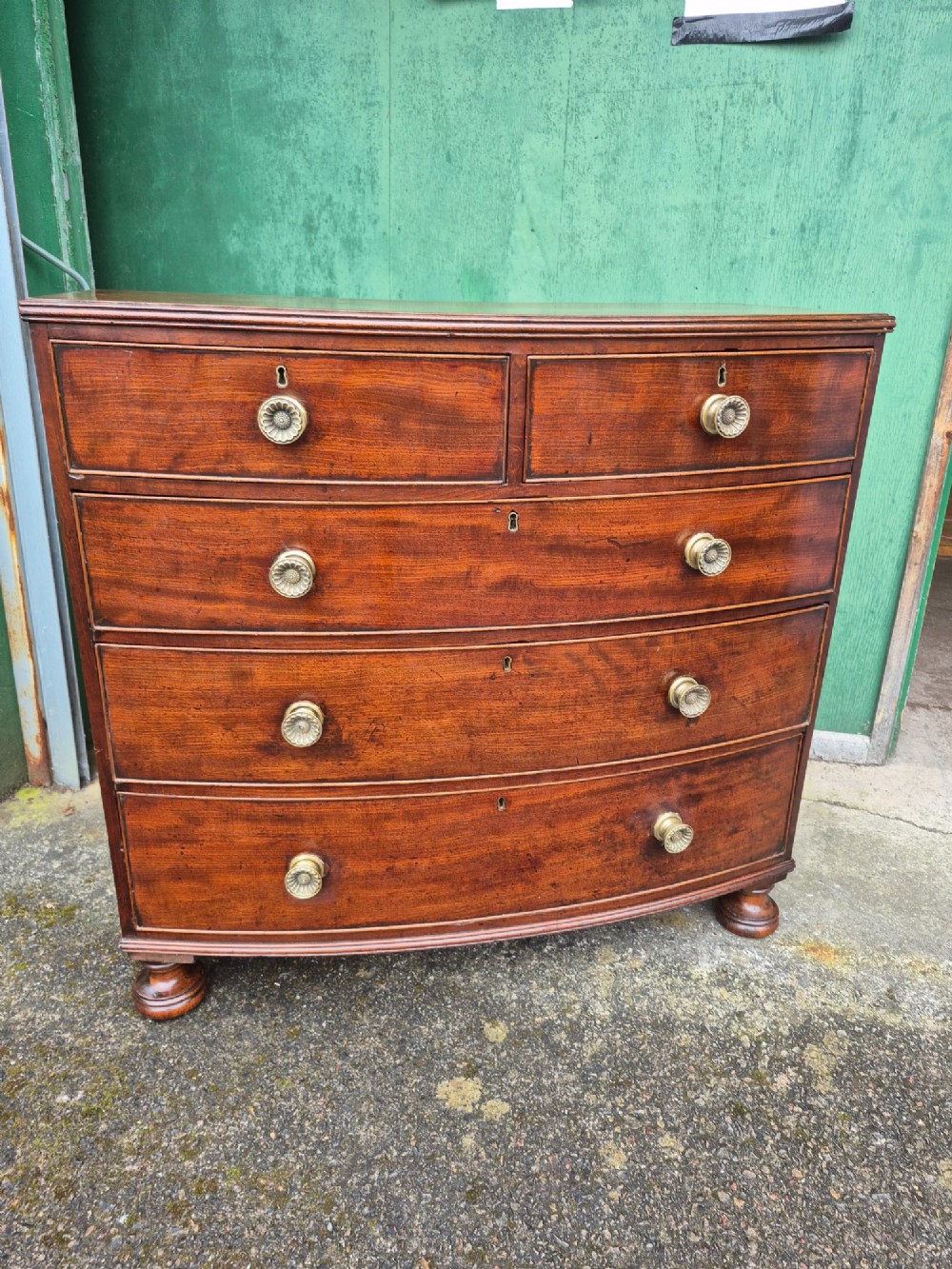 An antique mahogany bowfront chest of drawers featuring two short drawers over three long drawers with brass rosette knobs and turned feet.