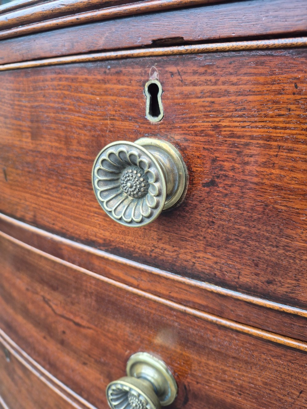 An antique mahogany bowfront chest of drawers featuring two short drawers over three long drawers with brass rosette knobs and turned feet. View IV