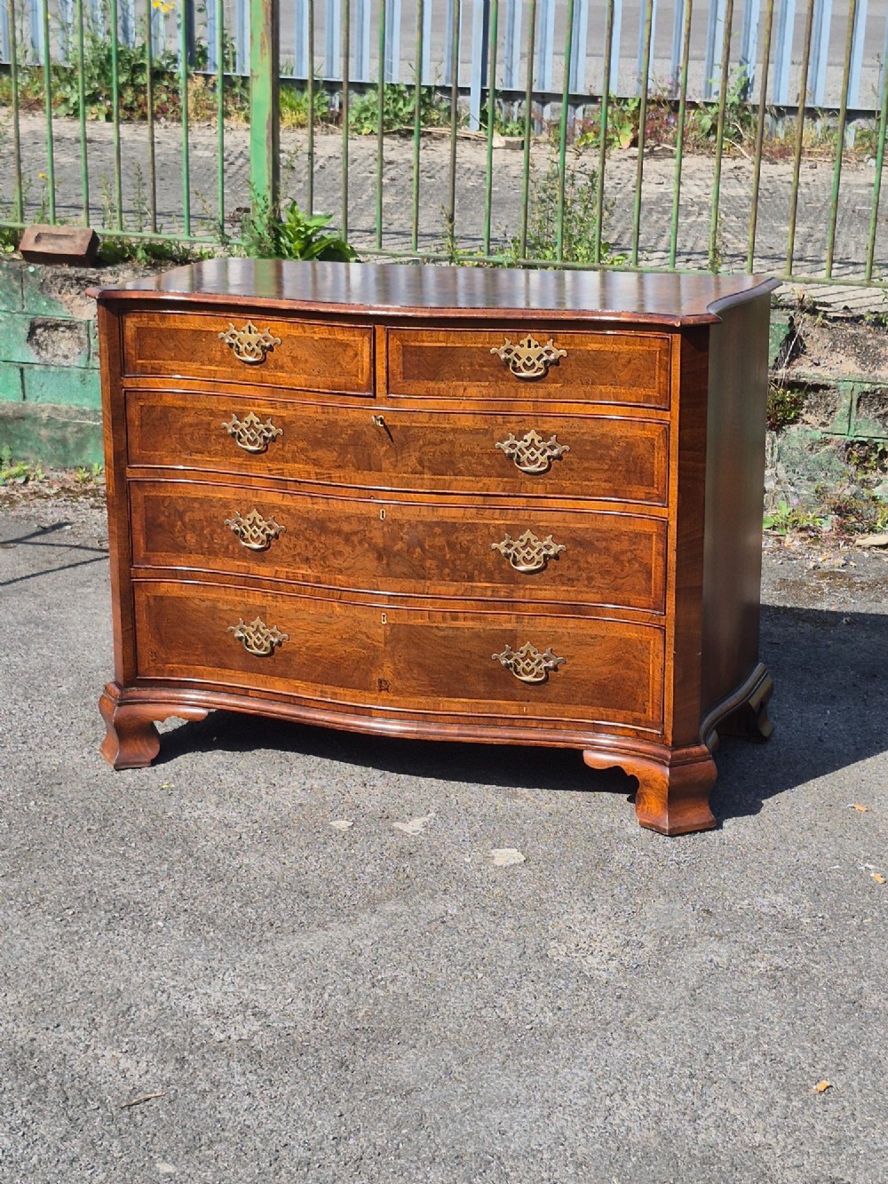 A burr walnut serpentine-front chest of drawers with two short top drawers over three long drawers, featuring brass backplate handles and resting on bracket feet.