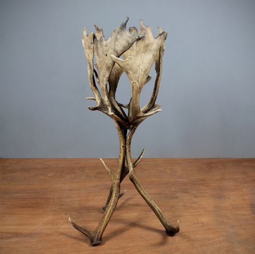 Moose Antler Jardiniere.