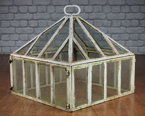 Antique Cast Iron Garden Cloche C.1900.