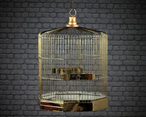 Very Large Brass Bird Cage C.1910.