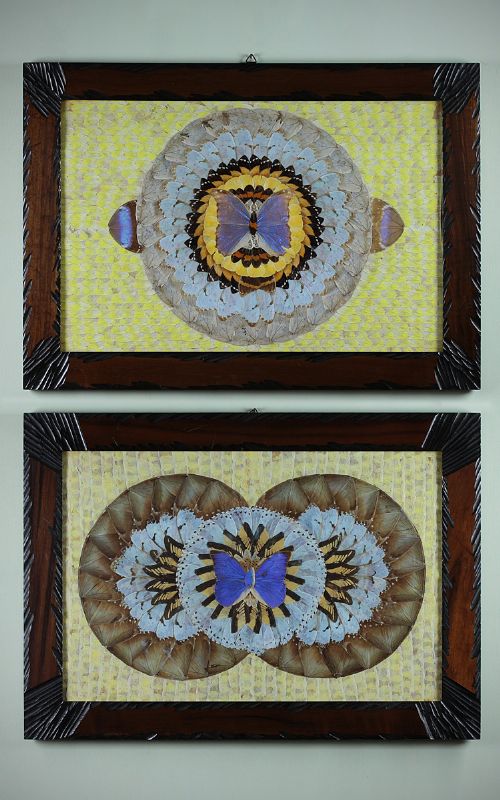Pair Framed Butterfly Wing Collages C.1930.