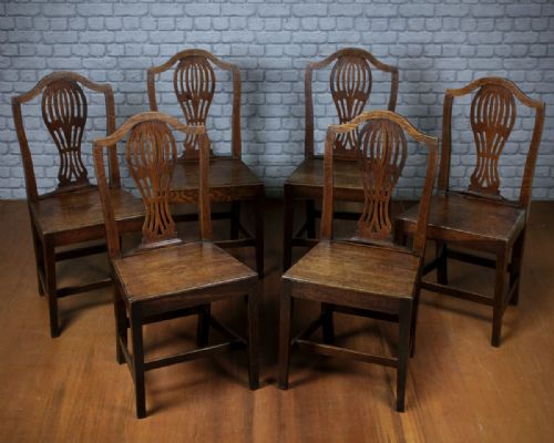 Six Oak Country Hepplewhite Dining Chairs C.1870.