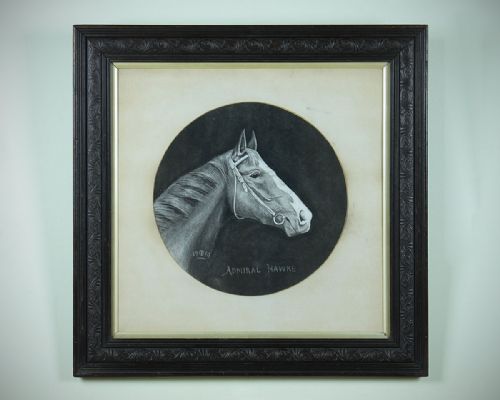 Edwardian Portrait of Thoroughbred Racehorse Admiral Hawke.