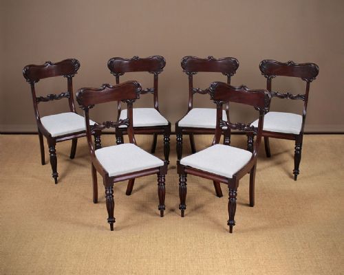 Set Six William IV Mahogany Dining Chairs C.1830