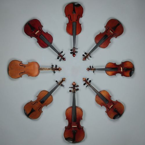Collection of Violins.