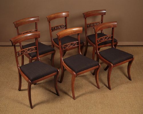 Six William IV Rosewood Dining Chairs C.1830.