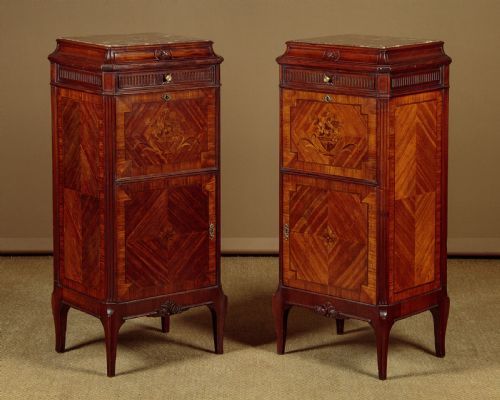 Pair of Tall Pedestal Cabinets C.1910