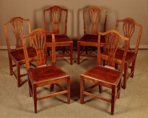 Six Country Hepplewhite Dining Chairs C.1800