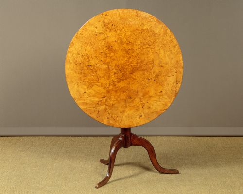 Swedish Birch Burr Tripod Table C.1830