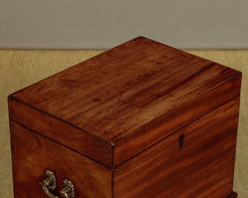GEORGIAN MAHOGANY WINE COOLER C1820 - ADDITIONAL PHOTO 4