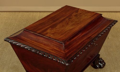 REGENCY MAHOGANY SARCOPHAGUS CELLARETTE C1830 - ADDITIONAL PHOTO 4