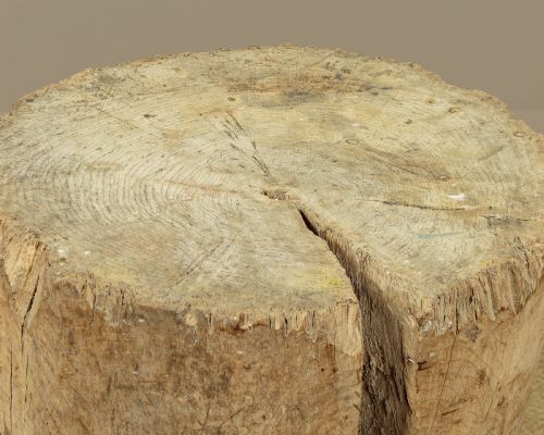 FRENCH PROVINCIAL ELM KITCHEN CHOPPING BLOCK C1890 - ADDITIONAL PHOTO 6