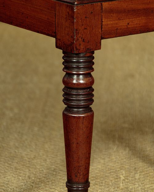 Georgian Mahogany Wine Cooler c.1820 View IX