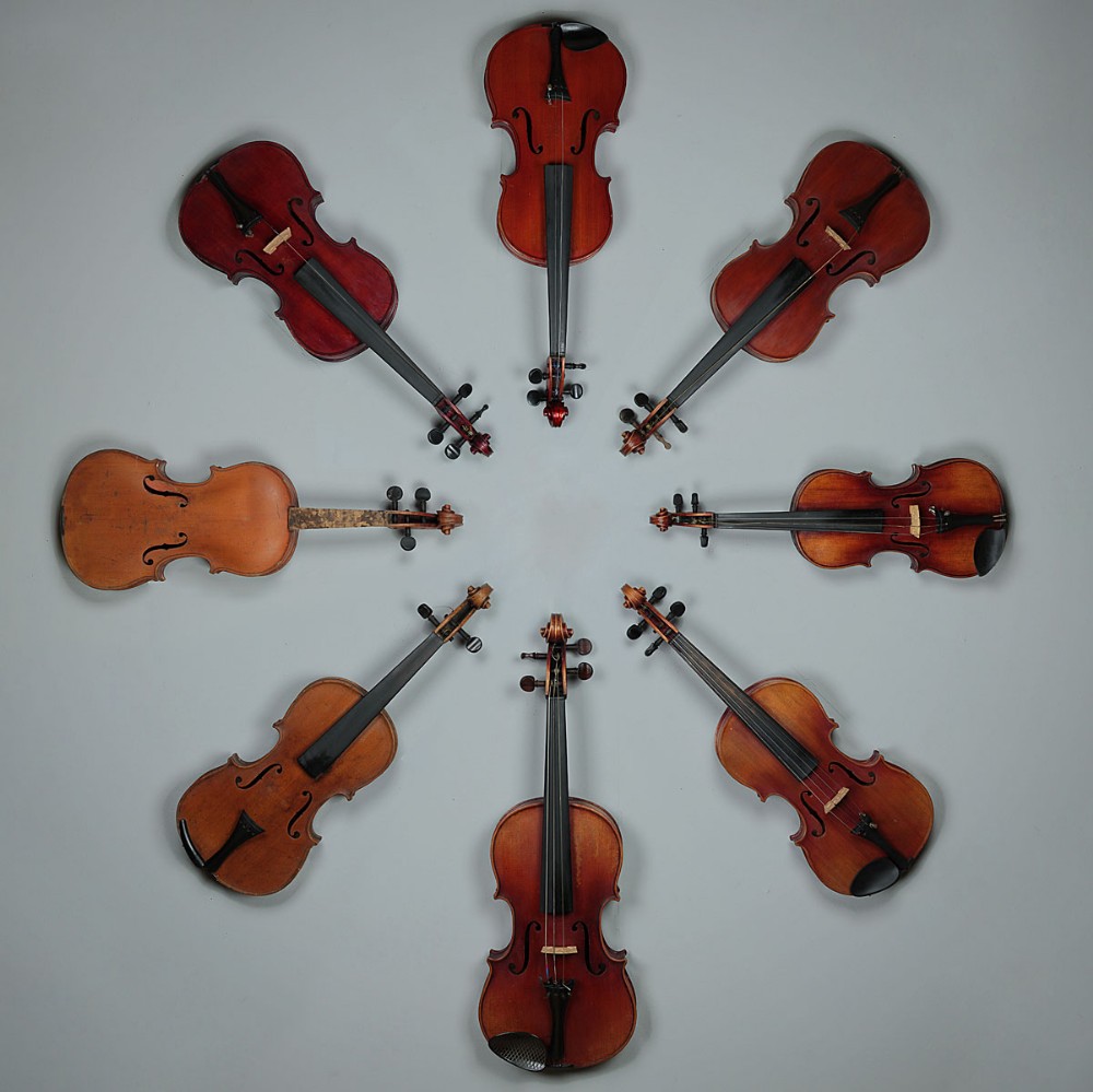 Collection of Violins.