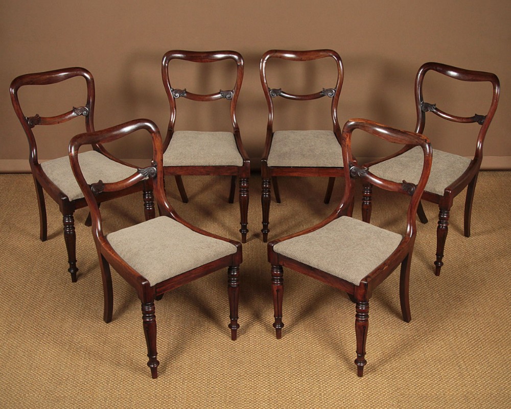 Six Regency Rosewood Dining Chairs c.1830.