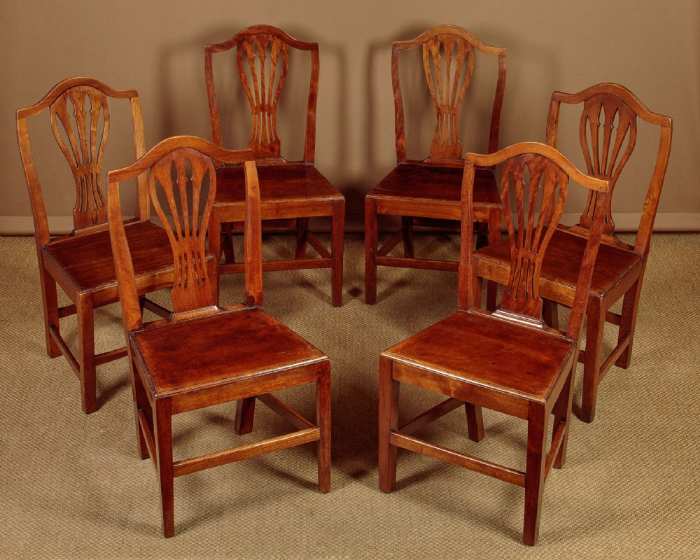 Six Country Hepplewhite Dining Chairs c.1800