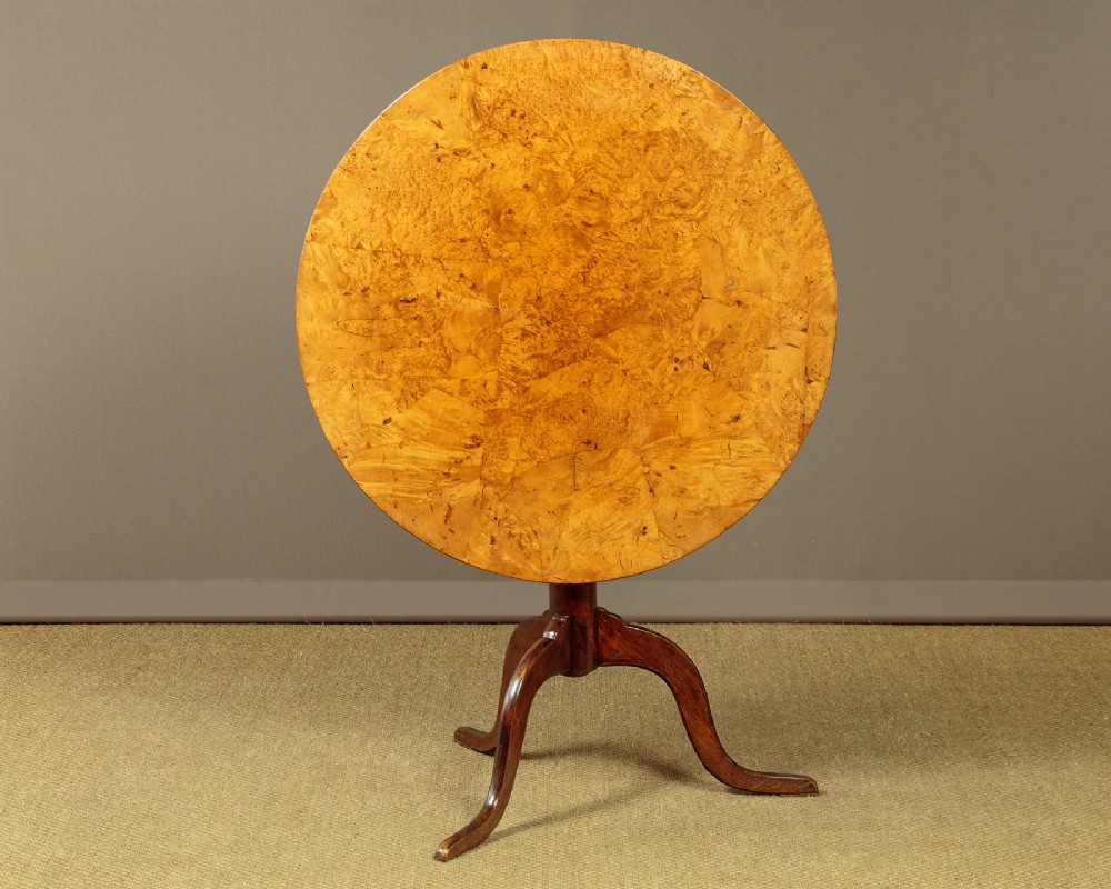 Swedish Birch Burr Tripod Table c.1830