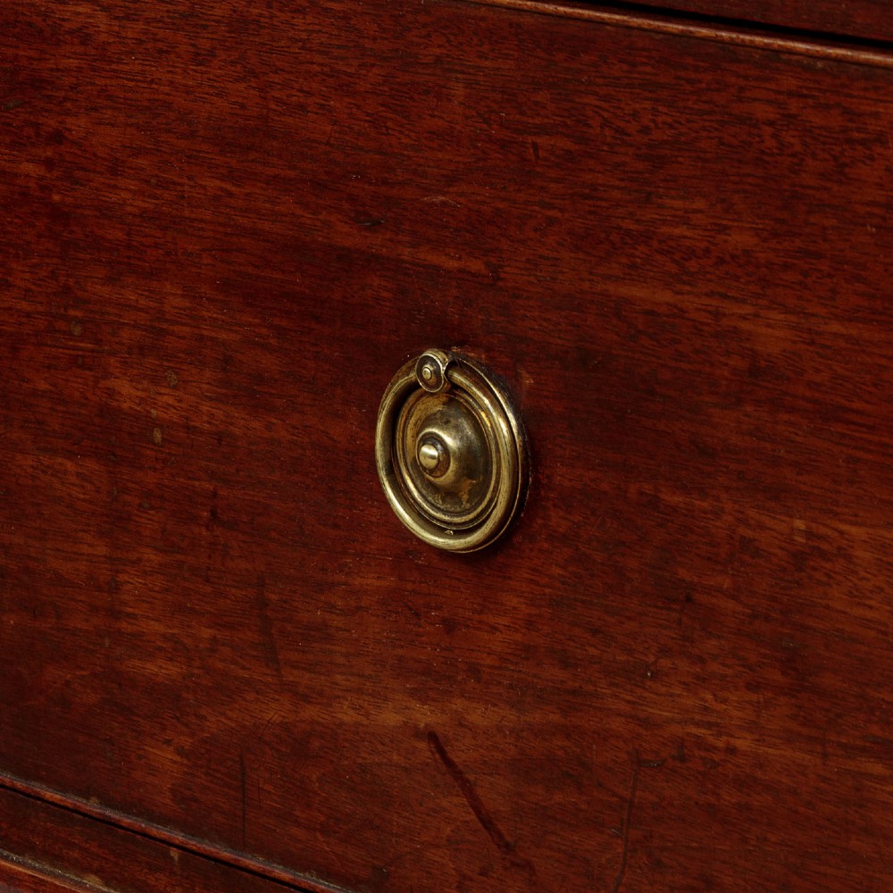 Georgian Mahogany Estate Bookcase c.1800 View VIII