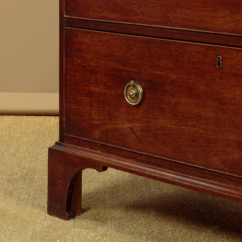 Georgian Mahogany Estate Bookcase c.1800 View IX