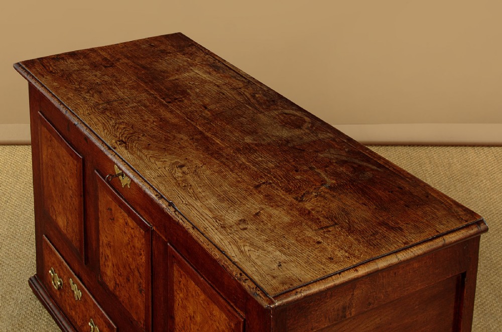 A late eighteenth-century Georgian dark oak mule chest featuring three burr elm inset panels and two lower drawers with brass handles. View III