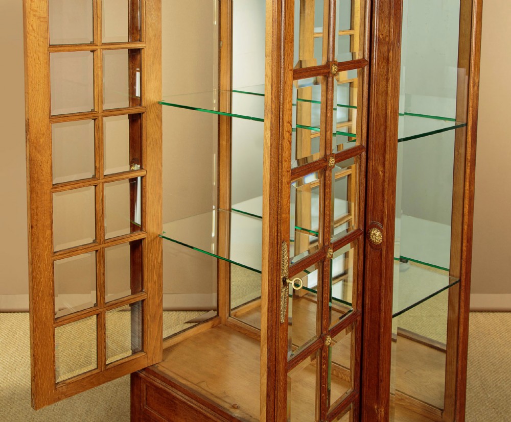 An Edwardian oak display cabinet featuring two glazed doors with gilt rosette mounts, a mirrored interior back, and two drawers at the base with swag handles. View VII